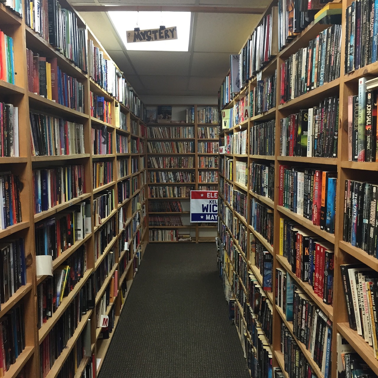 books, bookshop, library-1207435.jpg