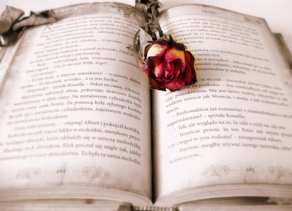 book, rose, book mark, open book, pages, chapter, novel, read, literature, reading, bookworm, book, book, book, rose flower, book, book, rose, rose, reading